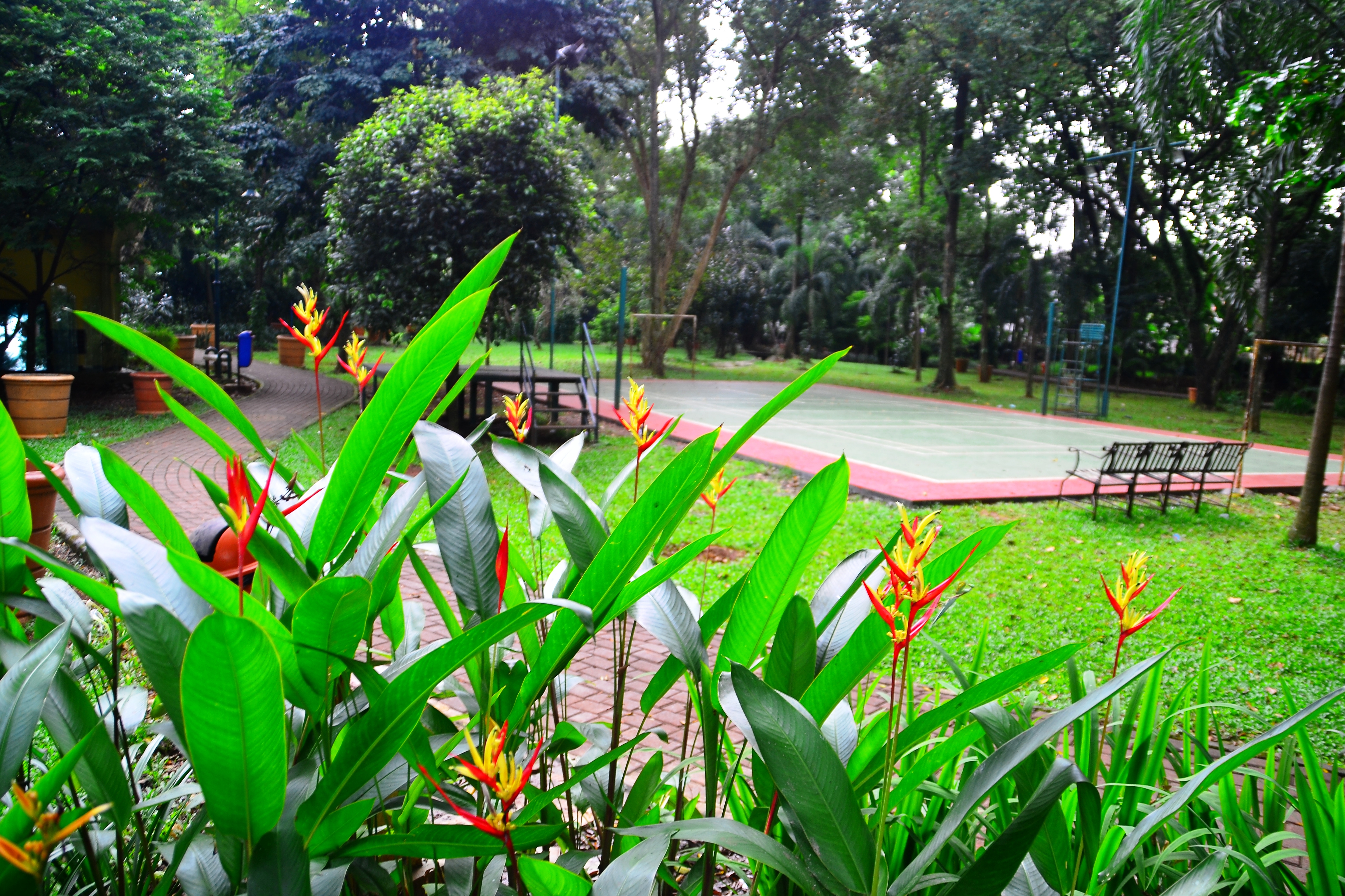 Taman Asri Dambaan Semua Warga Pesona Palembang